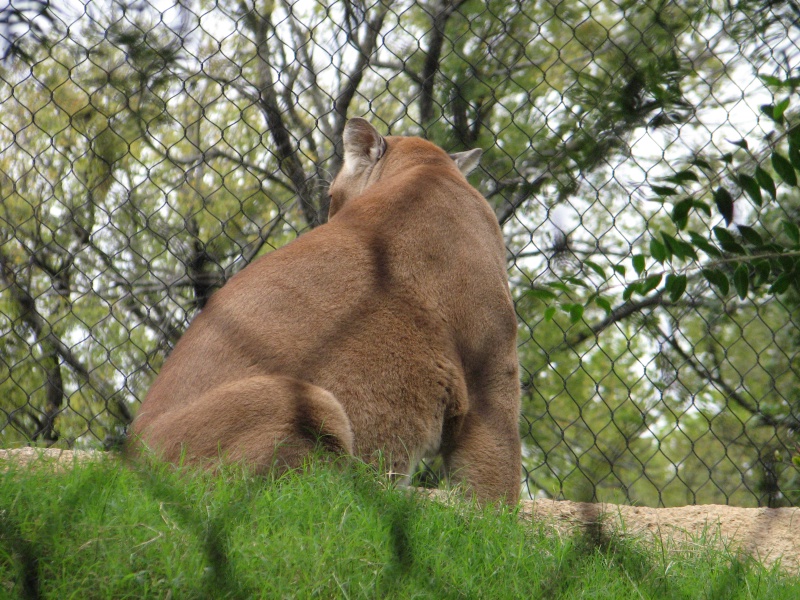 20100206 522.JPG